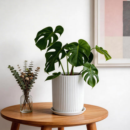 Deep Dream 8 Inch Ceramic Pots for Plants, Heavy Plant Pot for Indoor Outdoor Plants, Large Plant Pot with Drainage Hole and Saucer, Modern Tall Flower Pot, Gifts for Plant Lovers, White