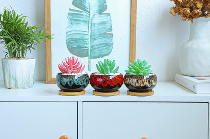 LamDawn Cute Ceramic Succulent Garden Pots, Planter with Drainage and Attached Saucer, Set of 5 -Plants Not Included (Round)
