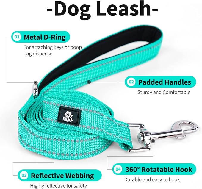 IVY&LANE Reflective Dog Collar and Leash Set,Adjustable Neoprene Padded Dog Collars for Puppy, Breathable Nylon Pet Collar for Small Medium Large Dogs(Medium,Teal)
