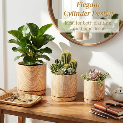 Dicunoy Set of 3 Ceramic Planters - 6"/5"/4" Cylinder Flower Pots with Drainage Holes and Saucers for Indoor, Outdoor, Garden, Cactus, Herbs, Snake Plants, Aloe Vera, All House Plants