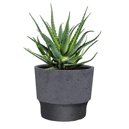 The HC Companies 7 Inch Sprite Succulent Pot 6.95"x6.95"x6.21Inch in Faux Concrete Color