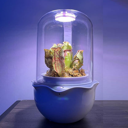 Smart Plant Lights for Indoor Growing,Venus Fly Trap Terrarium Kit with Light&Stand,Self Watering Pots for Indoor Plants,Smart Plant Pot with LED Grow Light&Timer for Succulents,Herbs,Flower