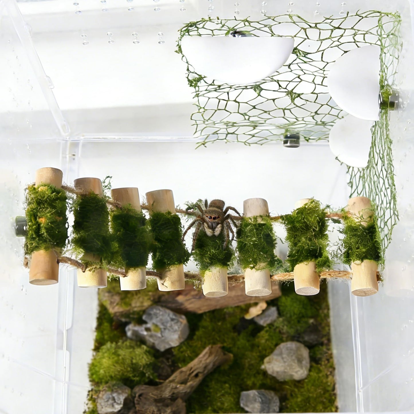 Swirge 6Pcs Jumping Spider Climbing Accessories Set, 1 Wooden Rope Bridge, 3 Mushroom Platform, 2 Climbing Net Decoration