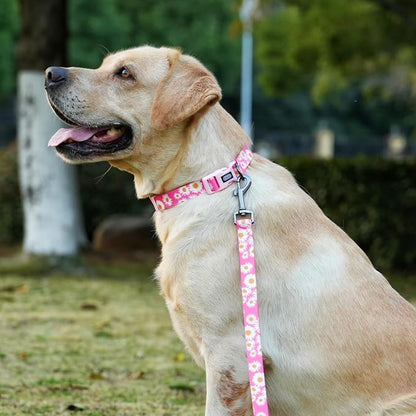 Dog Collar and Leash Set, Cute Pink Daisy Pattern, Polyester Material, 5ft Leash, for Medium Dogs.(Medium,Pink Daisy)