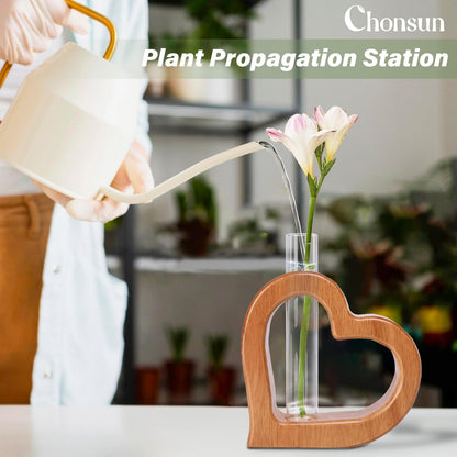 Chonsun Plant Propagation Stations 2 PCS Wall Hanging Planters for Indoor Plants Glass Tubes Home Decorations Gifts Terrarium Plants Live
