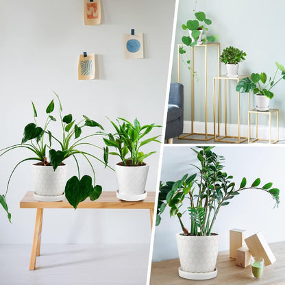 Ceramic Plant Pots,4+5+6 Inch Pots for Indoor Plants,Planters with Drainage Holes and Ceramic Tray, Indoor Flower Pots Gardening Home Desktop Office Windowsill Decoration Gift,Set of 3 (White)
