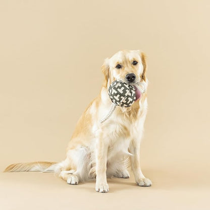 Fringe Studio Pulling You in Odette Olive 3D Canvas Dog Toy with Tuggable Rope, PetShop Collection (523040)