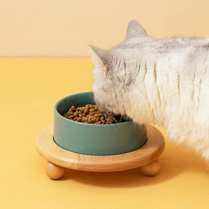 Havniva Raised Cat Bowls Water Bowl 6.1” Elevated Ceramic Cat Food and Water Bowl Whisker Friendly Pet Food Bowls for Indoor Cats, Wide Cat Water Dish Prevent Whisker Fatigue Non Slip Cat Feeder