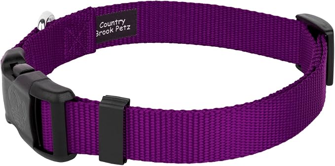 Country Brook Petz - Everyday Nylon Dog Collar and Leash - 10+ Cool Colors (1 Inch, Extra Large, Purple)