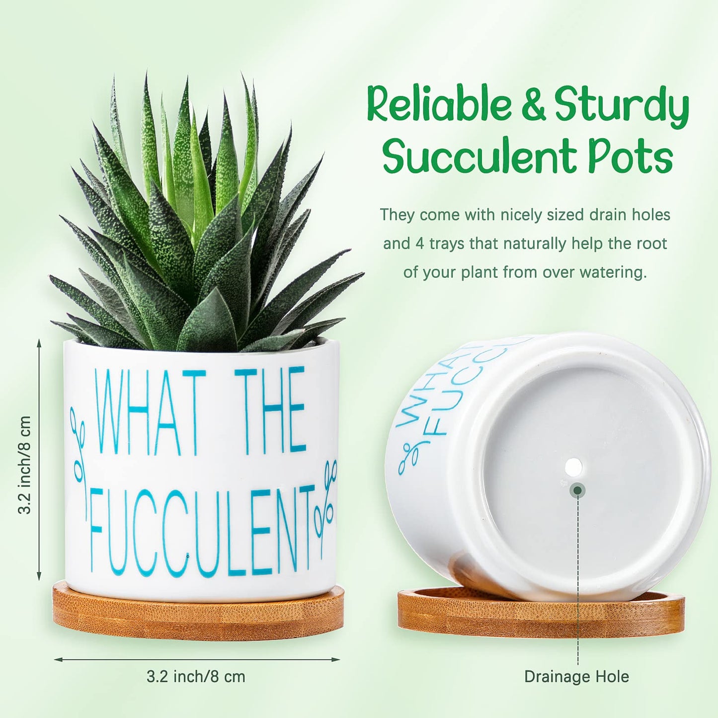 4 Pieces Succulent Pots Funny Sarcastic Succulent Cactus Planters Gifts for Grandma Friend 3.2 Inch with Drainage and Bamboo Tray White Ceramic Pot for Plants Garden Decorative (Fresh Style)