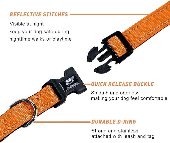 FURRYFECTION Reflective Dog Collar and Leash Set with Quick Release Buckle, Padded with Neoprene Adjustable Nylon Dog Collar for Small Medium and Large Dogs (Small Collar+5FT Leash, Orange)