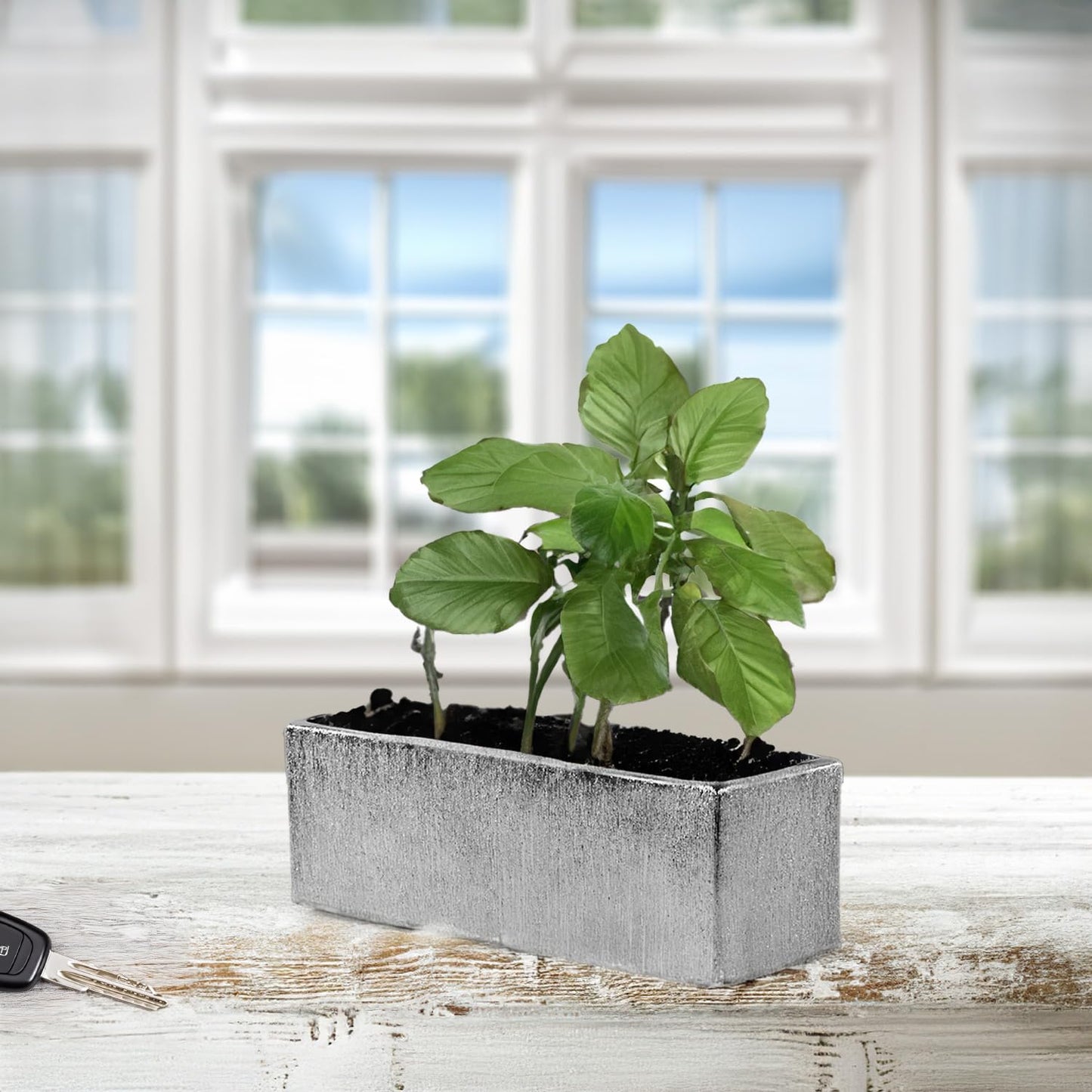 WGVI Long Rectangle Ceramic Planter Vase in Silver Etched 12" x 4" x 4"H, Block Rectangular Terrarium Box Pot, Flower Arrangement, Table top Centerpiece, Home Decor Storage Container, 1 Pc.