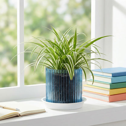 Hestremo Blue Glass Plant Pots Indoor, 5 inch Clear Orchid Pots with Drainage Holes & Trays, Small Glass Planter for Indoor Plants, Herbs, Succulent Flower Planter with Ribbed Texture, Set of 2