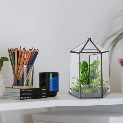 ELEGANTLIFE Glass Geometric Plant Terrarium,Succulent & Air Planter for Home Garden Office Decoration,No Plants(Black Hexagonal)