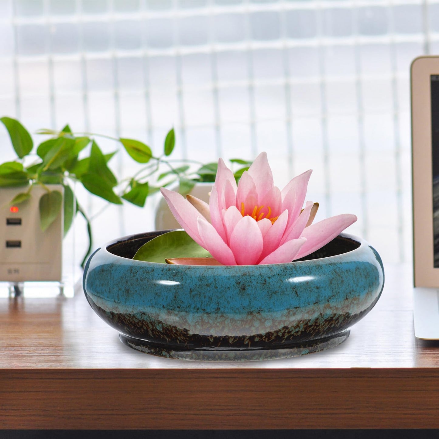 GANAZONO Large Garden Bowl Planter Water Plant Pot Water Lily Pots Hydroponic Planter Bonsai Pots Garden Decorative Cactus Stand Flower Container Daffodil Pot Bowl (Random Color)