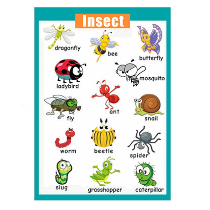 4 Pieces Laminated Educational Preschool Posters for Toddlers| Educational Wall Charts | School classroom Posters | Class decorations for Kindergarten- Sea Animal,Farm Animal,Wild Animal, Insect.