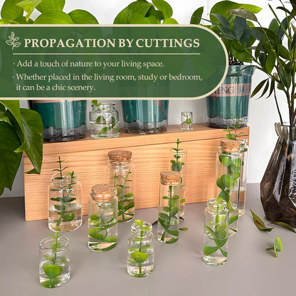 16-Pack 0.67 oz (20 ml) Glass Bottles with Cork Stoppers – for Spell Bottles, Spice Jars, DIY Party Favors, Travel Memories & Plant Propagation – Empty Recyclable Containers for Crafts, Kitchen,Décor