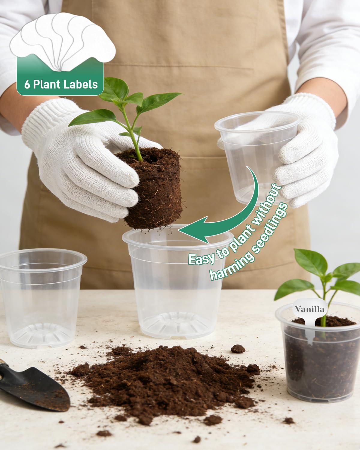 Biotolot 6 Pack Clear Nursery Pots with Drainage 9.5/8/7.5/6.7/5/4.5 Inch Nursery Pots with Saucers Transparent Seedling Pots Including Plant Labels Seed Starting for Indoor Outdoor Home Gardening