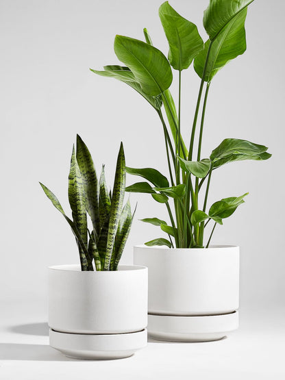 LE TAUCI 12 Inch Pots for Plants with Saucer | Ceramic Outdoor & Indoor Planter Pot for Plants | Drainage Hole, Mesh Pad | Unglazed Porous | Modern for Home, Office and Patio – Chalk White