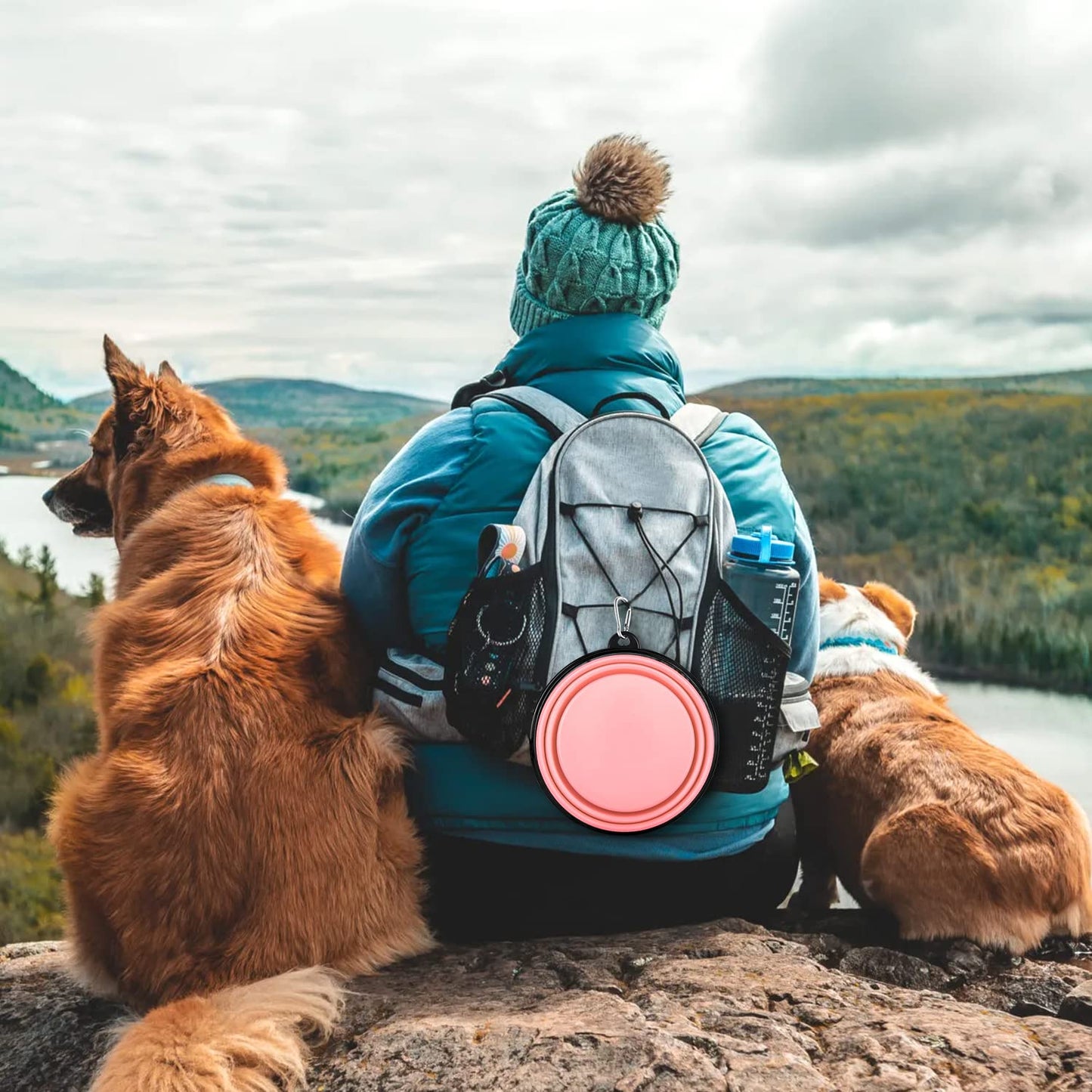 Collapsible Dog Bowls-2 Pack Large Size for Large/Medium Dogs, Pet Travel Water Bowl, Dogs Cat Portable Water Bowl, Dog Pet Feeding Watering Dish Outdoor Hiking Parking Traveling with 2 Carabiners