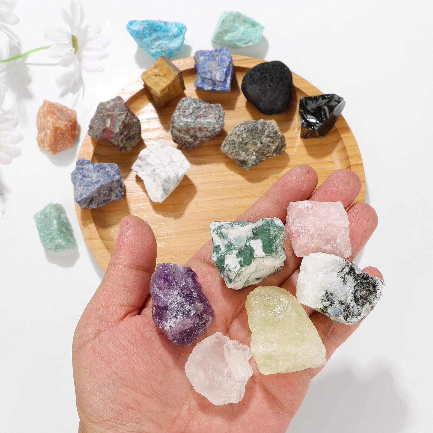 GolbalJew Howlite Natural Raw Crystals 2PCS Healing Crystal Stones 1.2-2.0” Reiki Healing Gemstones for Meditation Chakra Balance Home Decor