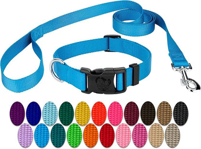 Country Brook Petz - Everyday Nylon Dog Collar and Leash - 10+ Cool Colors (3/4 Inch, Medium, Ice Blue)