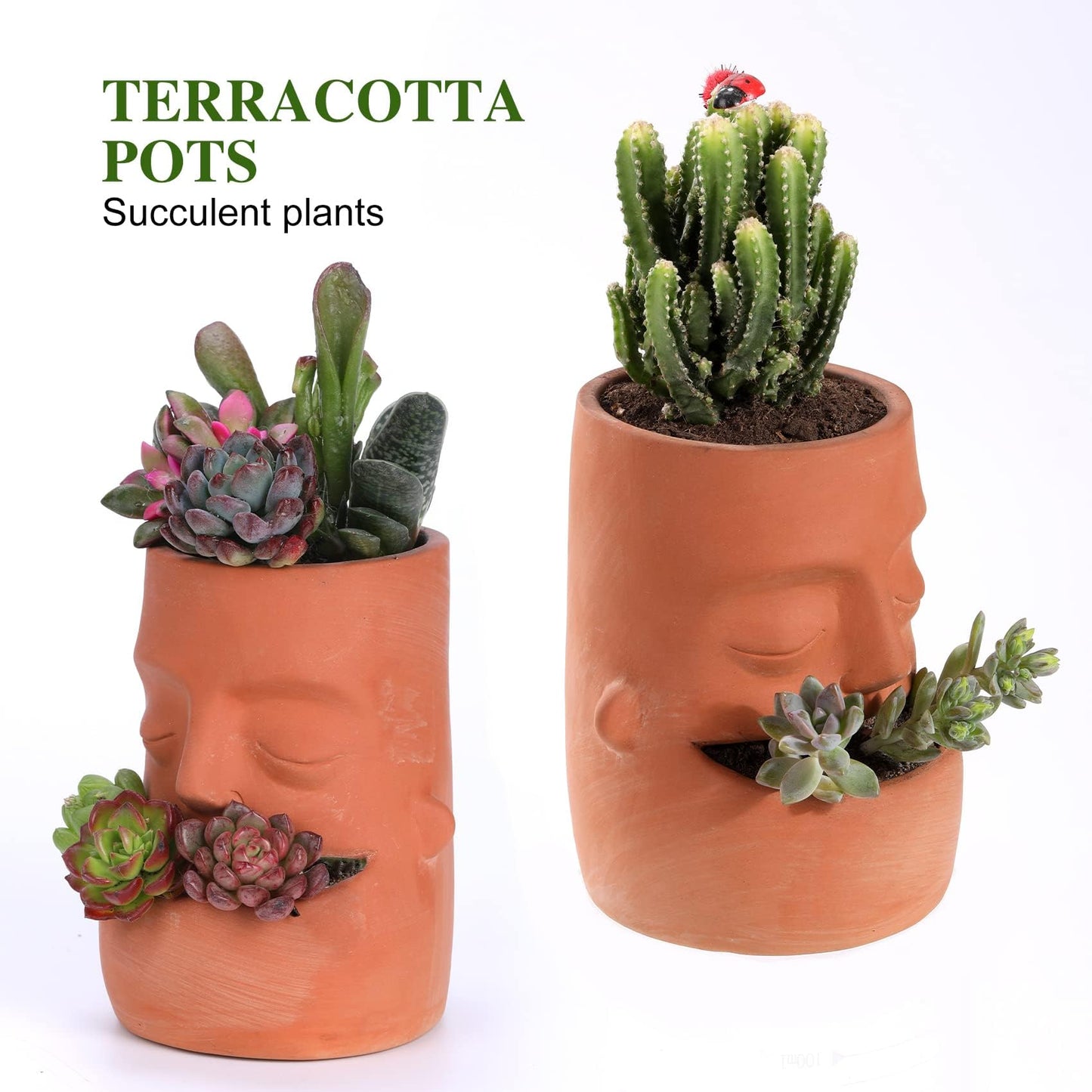 Maveite Terra Cotta Face Succulent Pots Planter Clay Pot Pretty Tribe Face Planter Holder Indoor Flower Pot Crafts Breathing Terracotta Planter DIY Decorative Beautiful Home Housewarming Gift