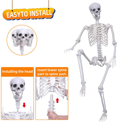 5.9Ft Halloween Life Size Skeleton Posable Skeleton Full Body Plastic Human with Adjustable Joints for Outdoor Indoor Halloween Decoration