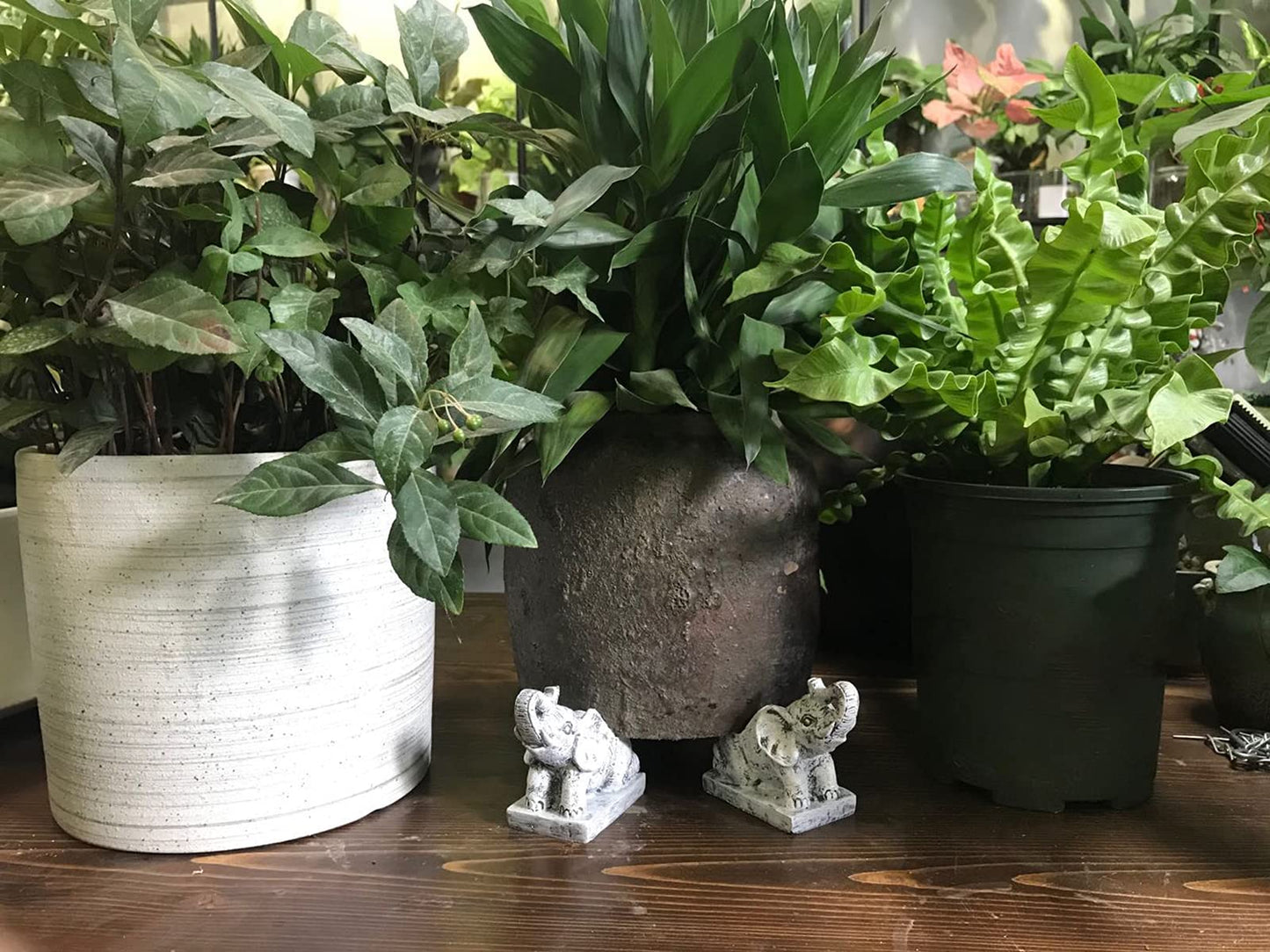 dgudgu Pot Feet for Outdoor & Indoor Planters - Elephant Shaped Planter Risers Improve Airflow & Drainage