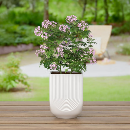 XiHuaer Ceramic Planter, 6 Inch Plant Pot with Drainage Hole, Indoor Outdoor Planter Flower Pots, White Pot for Plants