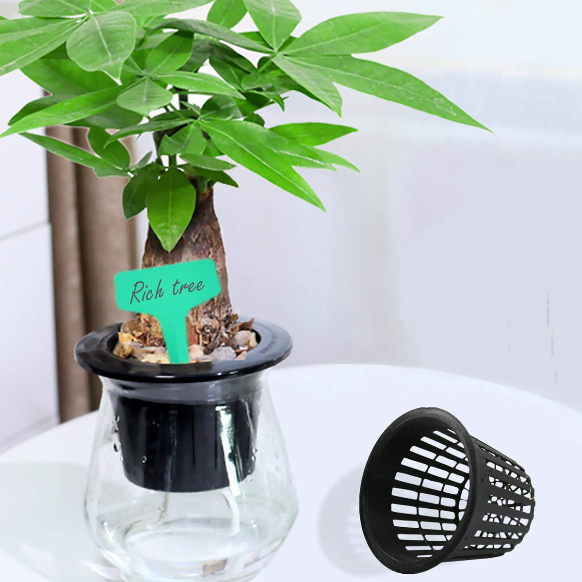 Business King 3 Inch Net Pots for Hydroponics 60 Packs with Plant Labels 60Pcs Heavy Duty Wide Mouth Net Cups Slotted Mesh Pot Garden Supplies (3 inch 60 Packs)