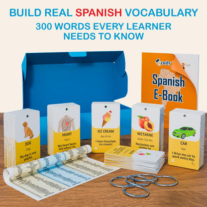 300 Bilingual English Spanish Flash Cards for Adults & Kids Ages 12+ Beginners - Noun Vocabulary with Pictures, Pronunciation, Sentences, Adult Self Study & Learn Spanish Workbooks for Adults