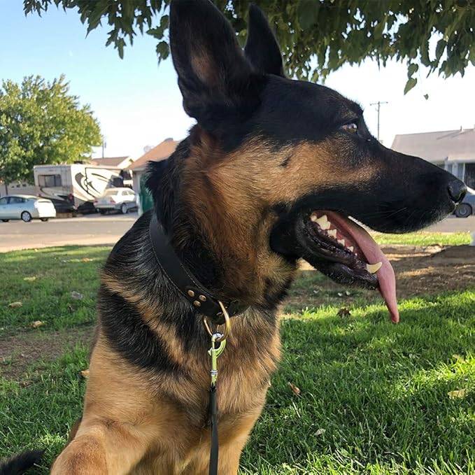 Genuine Leather Dog Collar, Heavy Duty Wide Dog Collar for Small, Medium, Large and Extra Large Dog (L: 1.2" Wide for 16.2"-22" Neck, Single Stitch - Black)