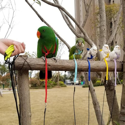Adjustable Bird Harness with Elastic Leash, Pet Parrot Harness and Leash, Adjustable Training Design Anti-Bite, Bird Nylon Rope with Cute Wing for Conure (Yellow,Macaw)