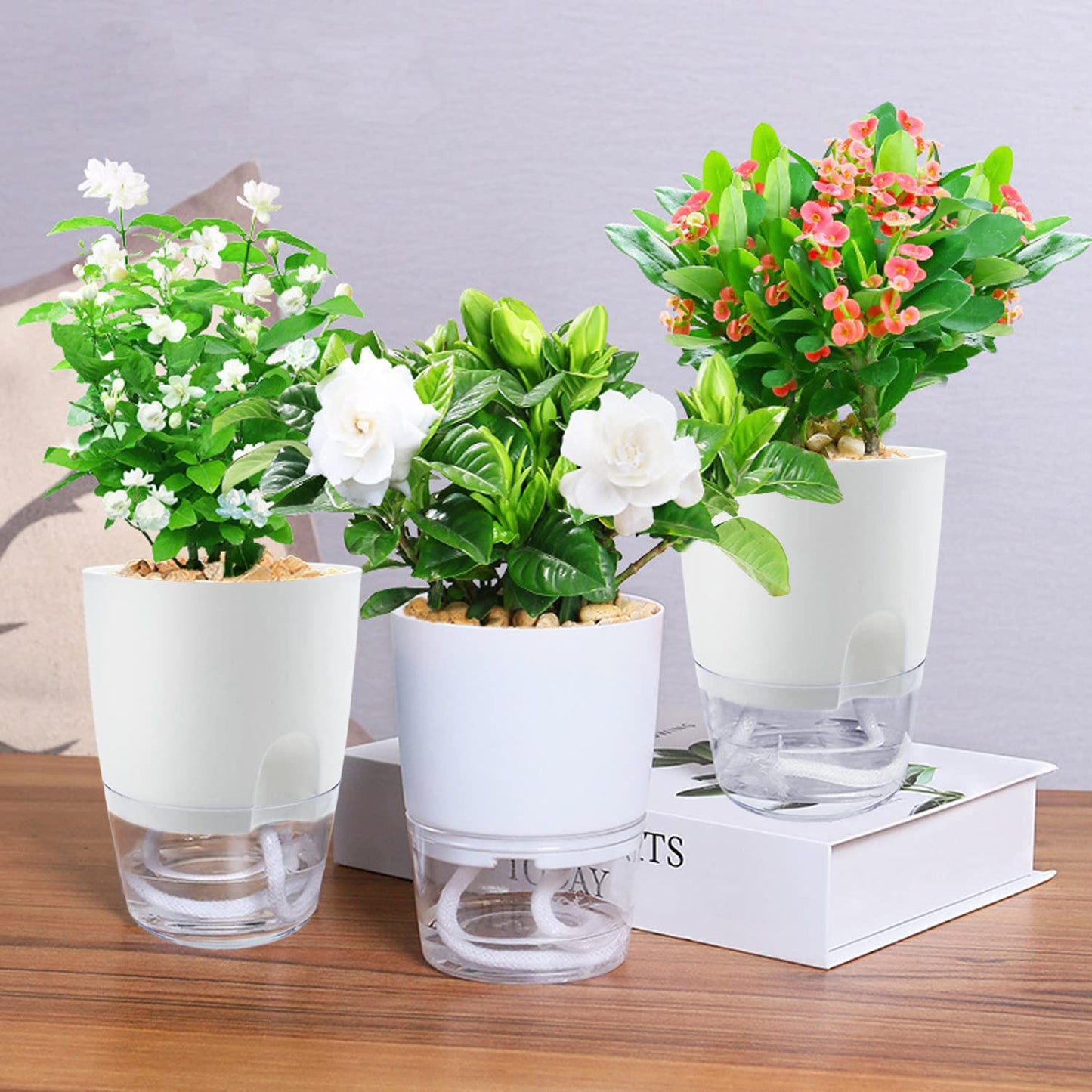 Haawooky 10 Pack Clear Self Watering Planters,4.1Inch Wicking Flower Pots,Plastic African Violet Pots with Watering Bottle Modern Decorative Planter for House Plants,Herbs,Indoor Plants
