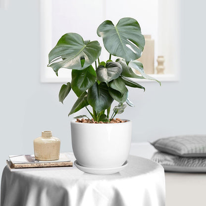 YUFDA 8 Inch Ceramic Planter, Plant Pots with Drainage Hole and Separable Saucer,Indoor-Outdoor Round Succulent Orchid Flower Pot,Indoor pots for Plants(Smooth White,Plant Pot only)