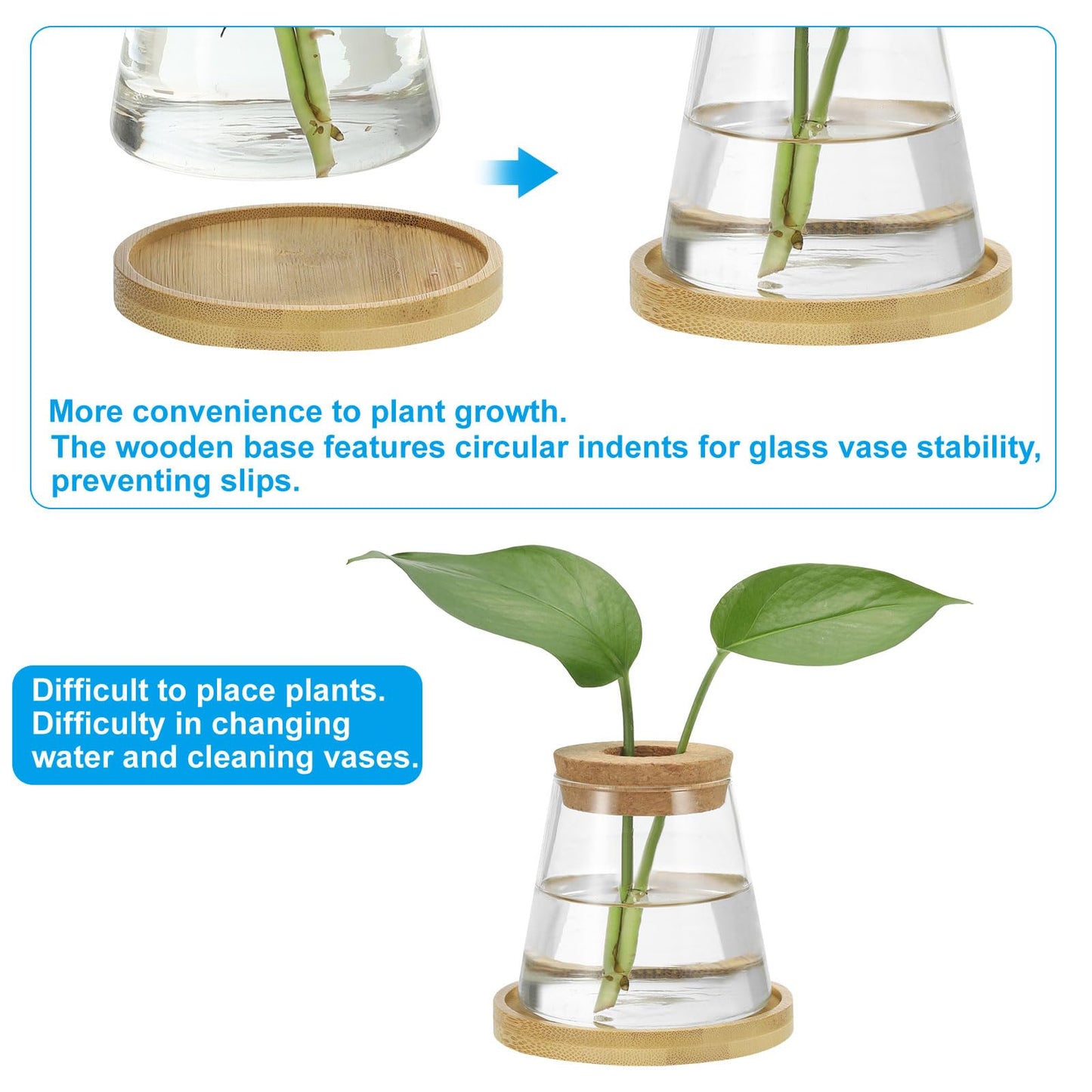 PATIKIL Plant Propagation Station Glass Vases, 2 Pcs Desktop Trapezoid Planter Terrarium Vase with Wooden Tray & Lid for Hydroponic Office Home Decor Plants Indoor, Brown