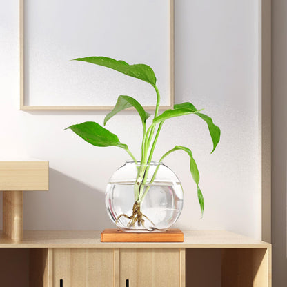 LALADEFIEE Desktop Glass Hydroponic Plant Vase with Retro Wood Base, Scindapsus Aureus Terrarium Planter for Office and Home Décor