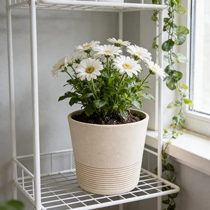 Ekirlin 7 Inch Indoor Plant Pot, Natural Resin Gravel Textures Planters, Modern Heavy Planter with Drainage Hole, Removable Rubber Stopper and Non-Slip Soft Pad, Decorative Pot for Home/Outdoor/Garden
