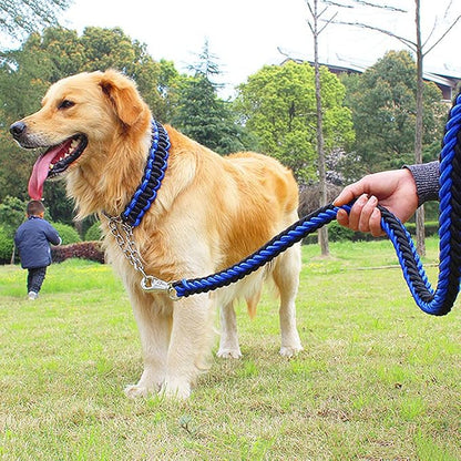 Love Dream Dog Collar and Leash Set, Heavy Duty Nylon Braided Rope Strong 4 FT Dog Leash and Martingale Training Collar for Small Medium Large Dogs Training and Walking (Blue & Black)