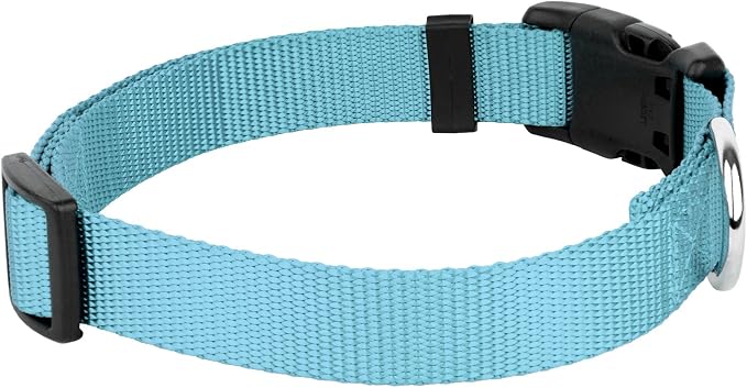 Country Brook Petz - Everyday Nylon Dog Collar and Leash - 10+ Cool Colors (3/8 Inch, Extra Small, Ocean Blue)