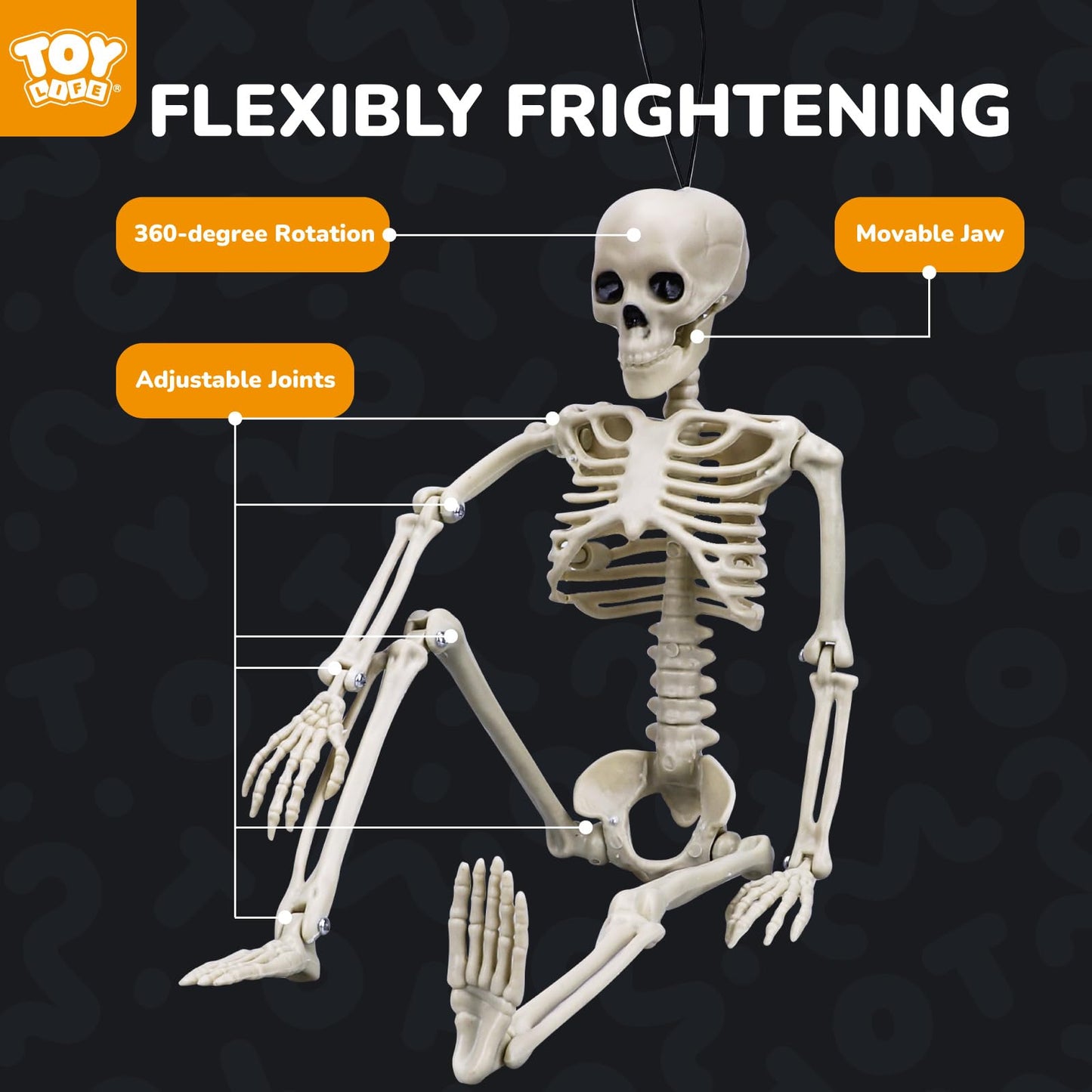 TOY Life 4 Pcs Halloween Skeleton 16" Posable Skeleton Decor, Full Body Posable Joints Outdoor Skeletons, Halloween Skeletons Decorations Outdoor Indoor, Plastic Hanging Skeleton Decorations