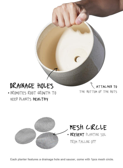 LE TAUCI Ceramic Plant Pots, 4.1+5.1+6.5 Inch Set with 50 Pack 2" Flower Pot Hole Mesh Pad Bundle, Planter with Drainage Hole and Saucer, Beige