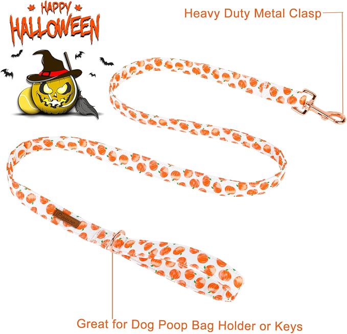 Dog Leash & Collar Set, Sturdy Durable Cotton, Pumpkin Pattern, Fits Small to Large Dogs