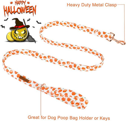 Dog Leash & Collar Set, Sturdy Durable Cotton, Pumpkin Pattern, Fits Small to Large Dogs