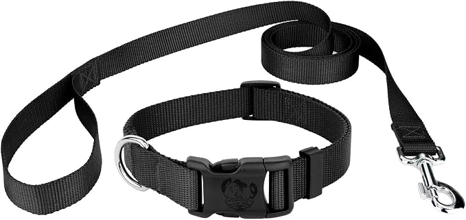 Country Brook Petz - Everyday Nylon Dog Collar and Leash - 10+ Cool Colors (3/4 Inch, Medium, Black)