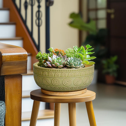 Eightpot Bonsai Pots - 8 Inch Ceramic Succulent Pots with Drainage Hole and Saucer, Shallow Round Planter for Indoor Plants, Boho Bowl Planter, Room Decor, Green