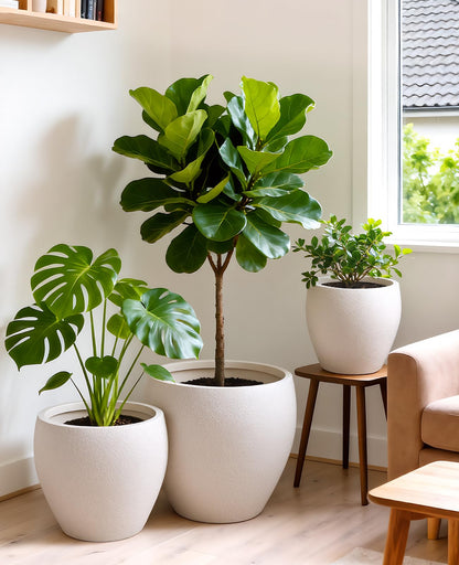 homenote Flower Pots 14.5/12/9.6 Inch,Large Plant Pots Indoor with Drainage,Plastic Pots for Plants,Garden Pots for Outdoor,Large Planters for Indoor Plants,Big Plastic Planter,Off-White(3 Pcs)