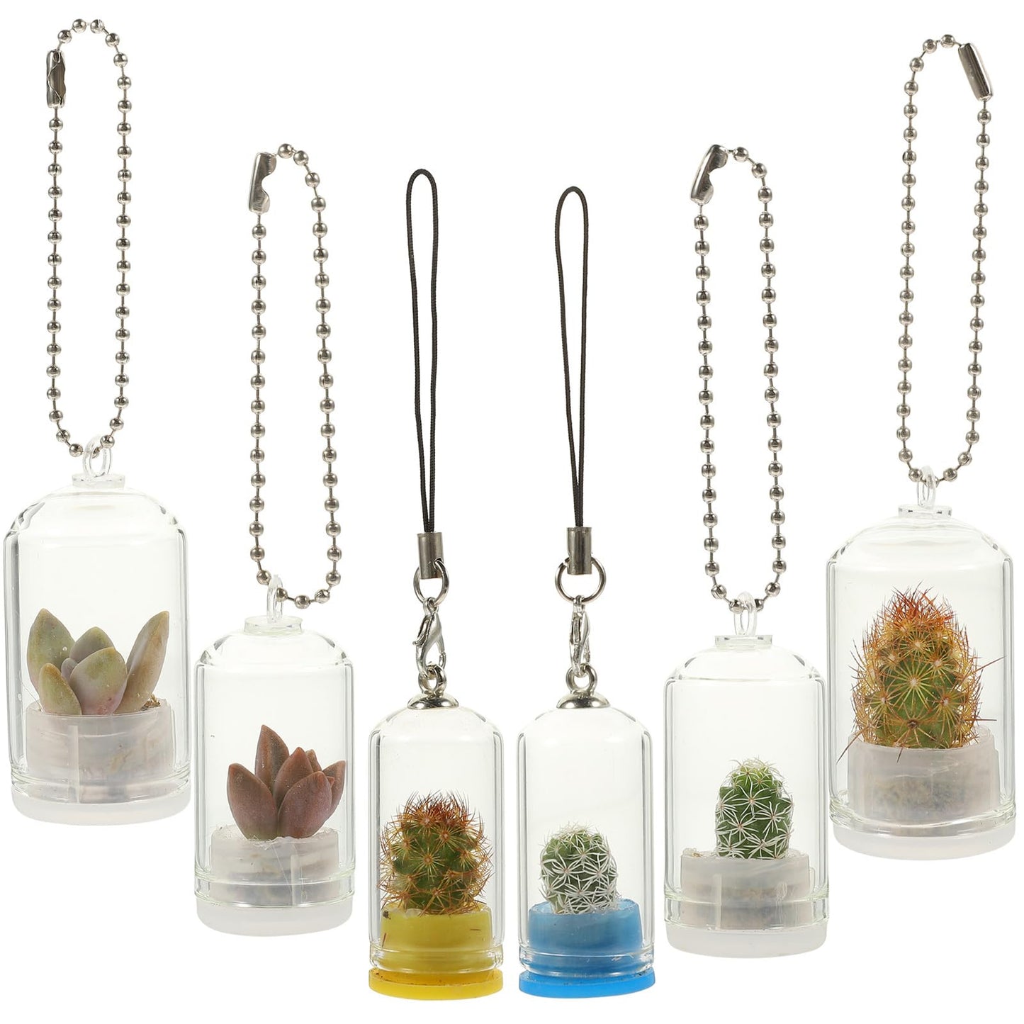 Ipetboom Desk Decor Desk Decor Glass Vase 6pcs Miniature Potted Plants Keychain Clear Terrarium Plant Keychain for Car Key Pendant Backpack Charms Glass Vase Vase