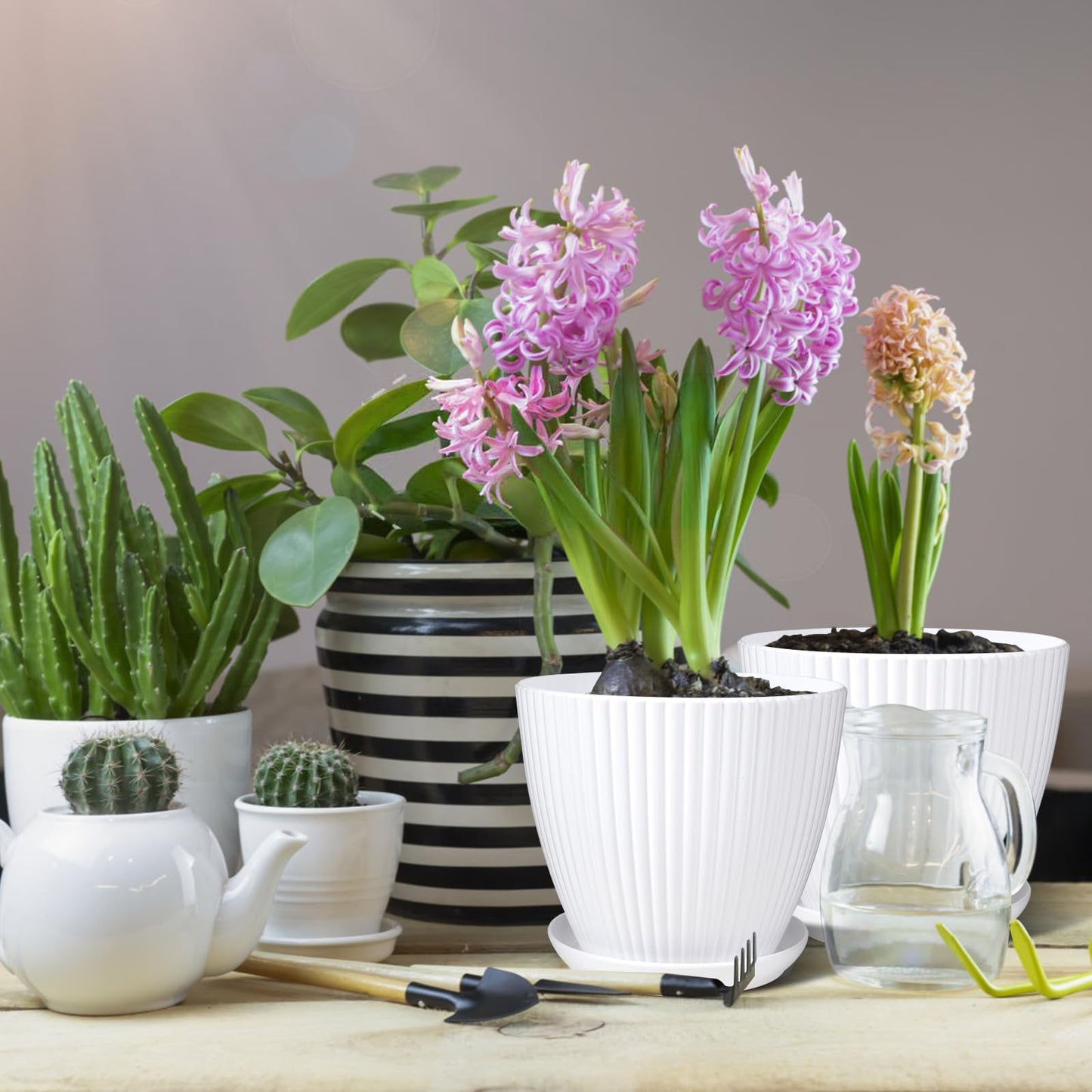 MUXINCAMP 7 Inch Large Plant Pots, 6 Pack Flower Pots with Drainage Hole and Tray Saucer Plastic Plant Pot for Outdoor Indoor House Plants and Flowers Herbs (White)